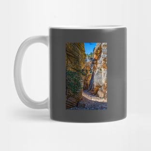 Lick Wash Trail Hike Mug